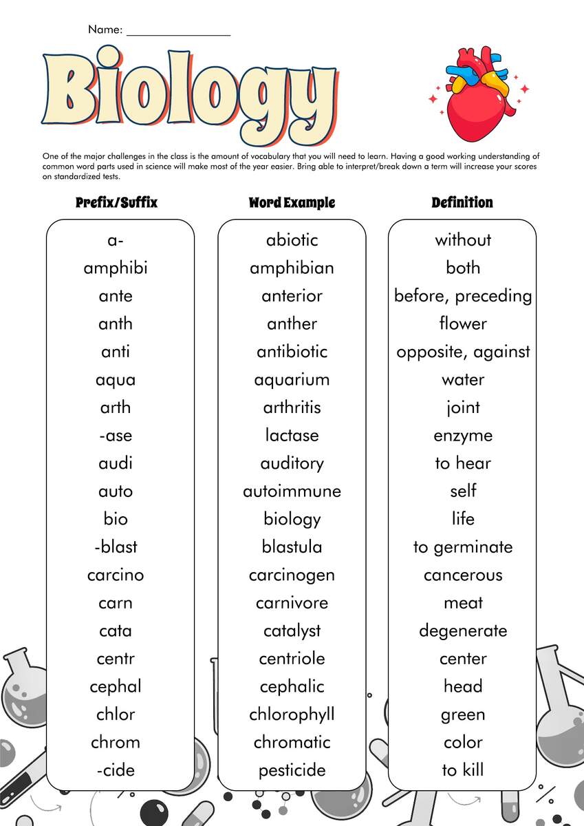 18 Medical Prefixes And Suffixes Worksheets Free PDF At Worksheeto 18 Medical Prefixes And Suffixes Worksheets Free PDF At Worksheeto