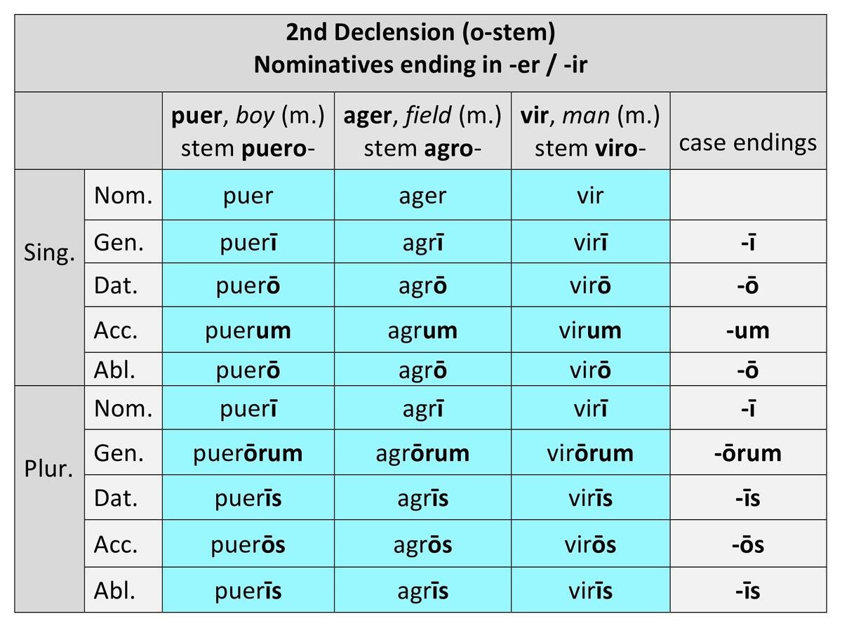 2nd Declension Stem Paradigm And Gender Dickinson College Commentaries