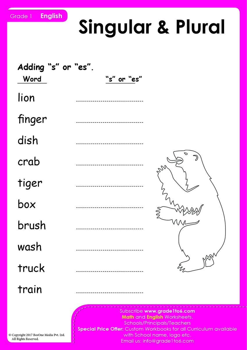 Adding S Or Es Singular Plural Worksheets Adding S Or Es Singular Plural Worksheets