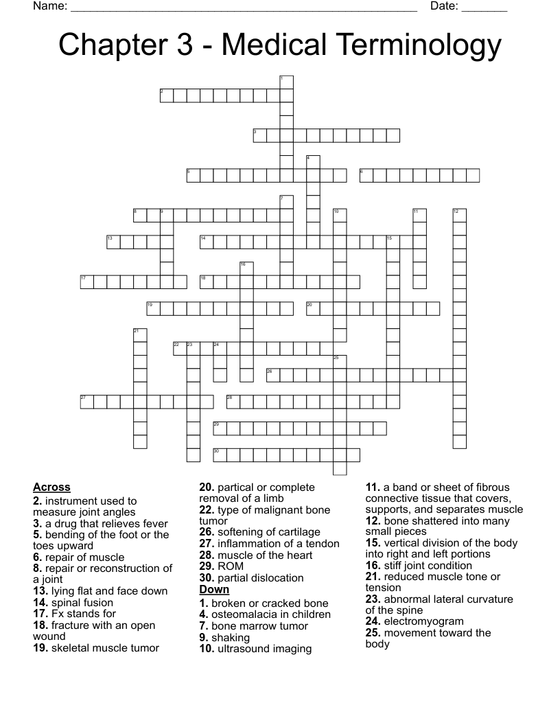 Chapter 3 Medical Terminology Crossword WordMint