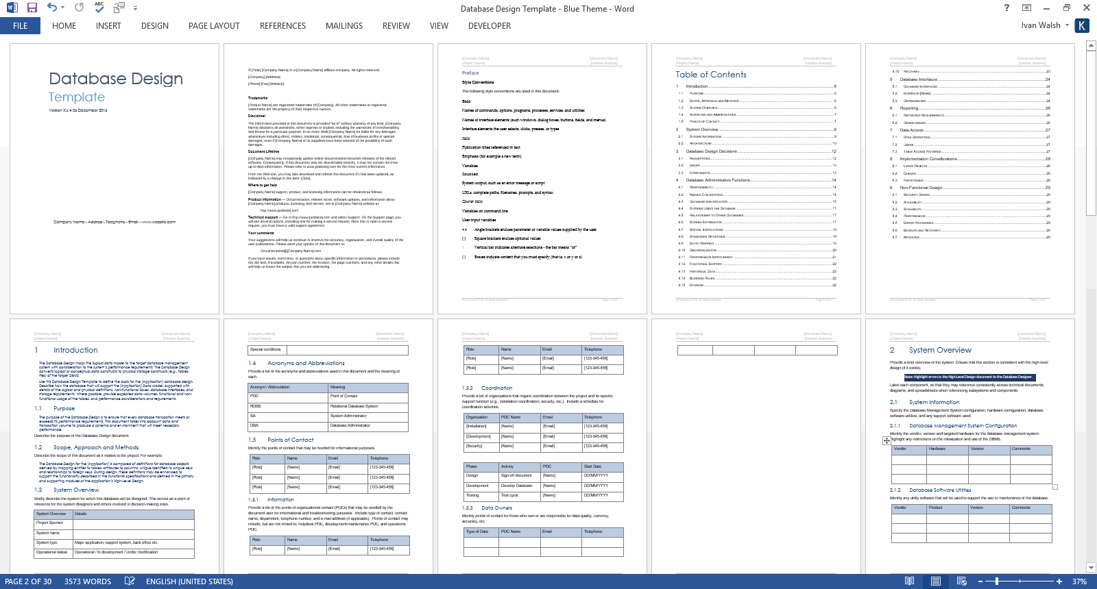 Database Design Document MS Word Template MS Excel Data Model MS Office Templates With AI Prompts