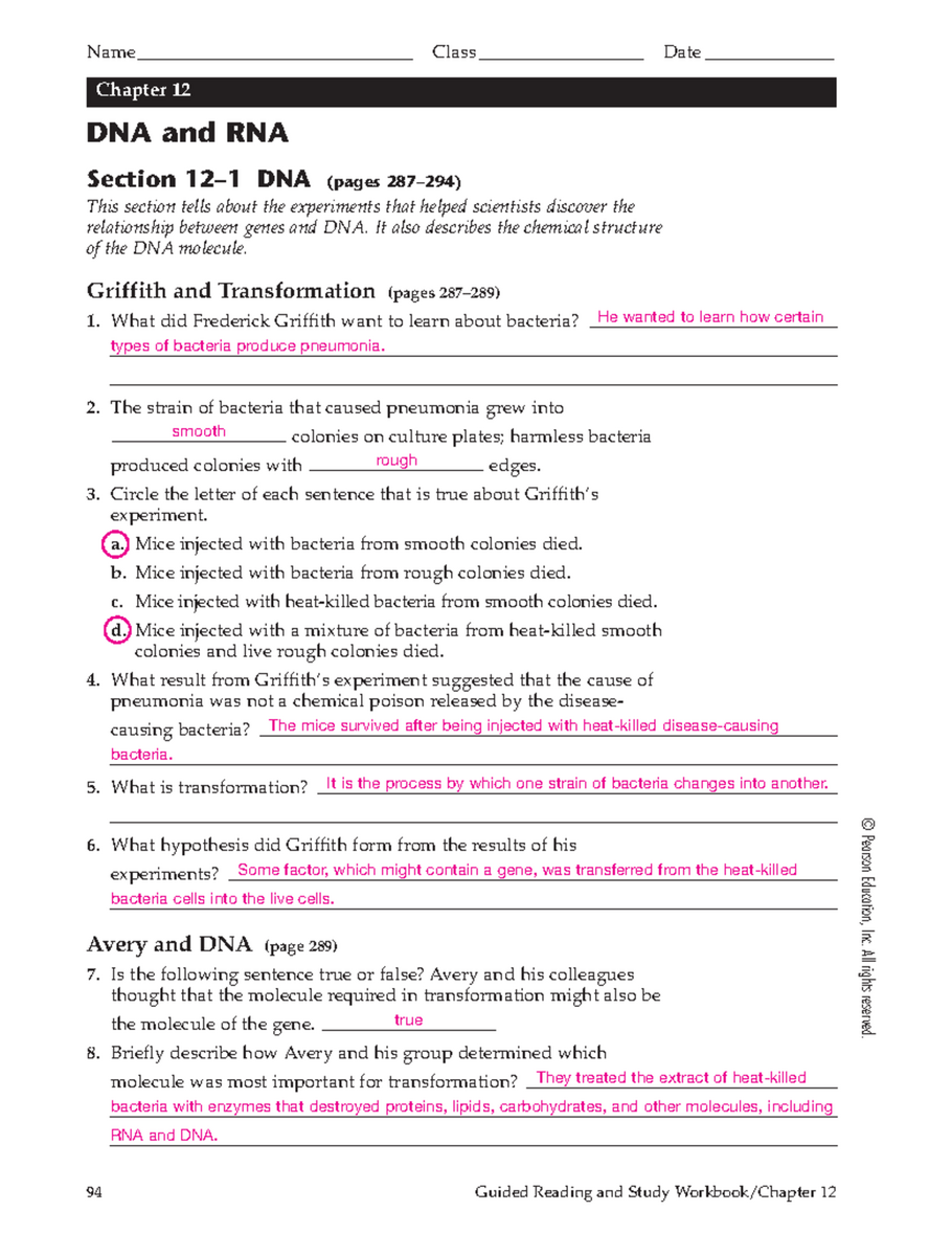 DNA And RNA Study Guide Answer Key BIO101 Final Exam Studocu 14 DNA Code Worksheet Free PDF At Worksheeto