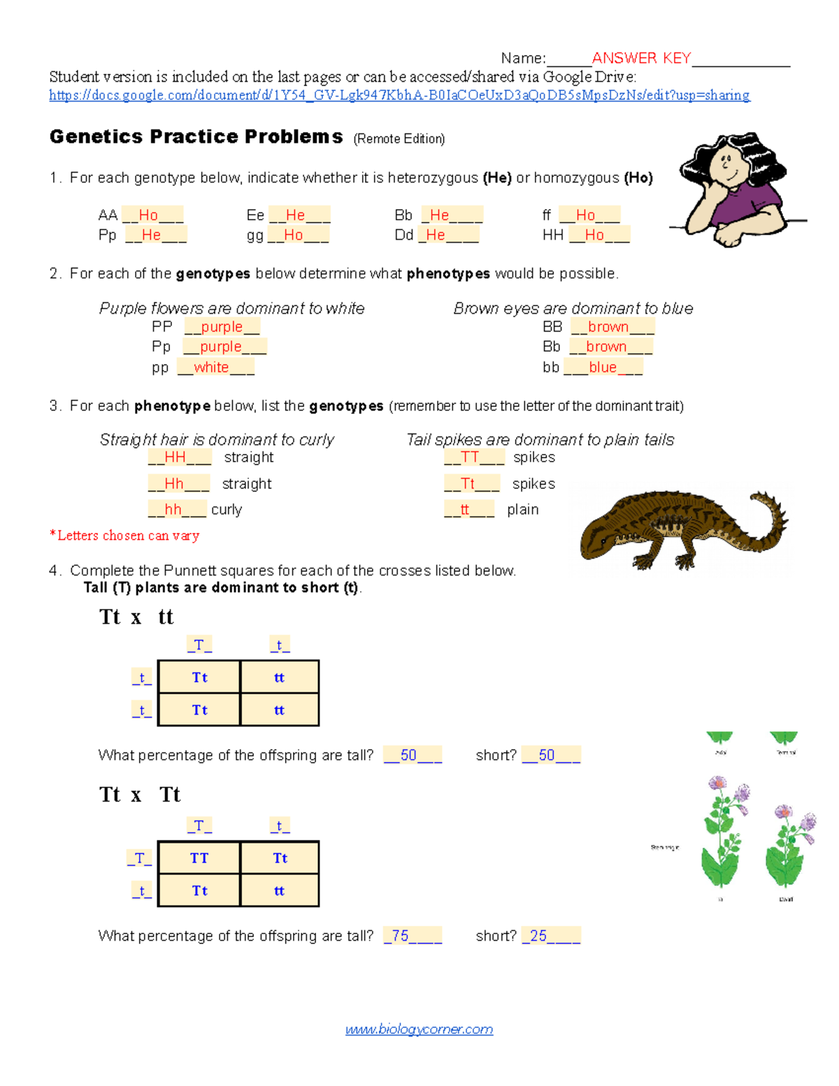 Genetics Practice Problems Remote Edition ANSWER KEY KEY 1 Studocu