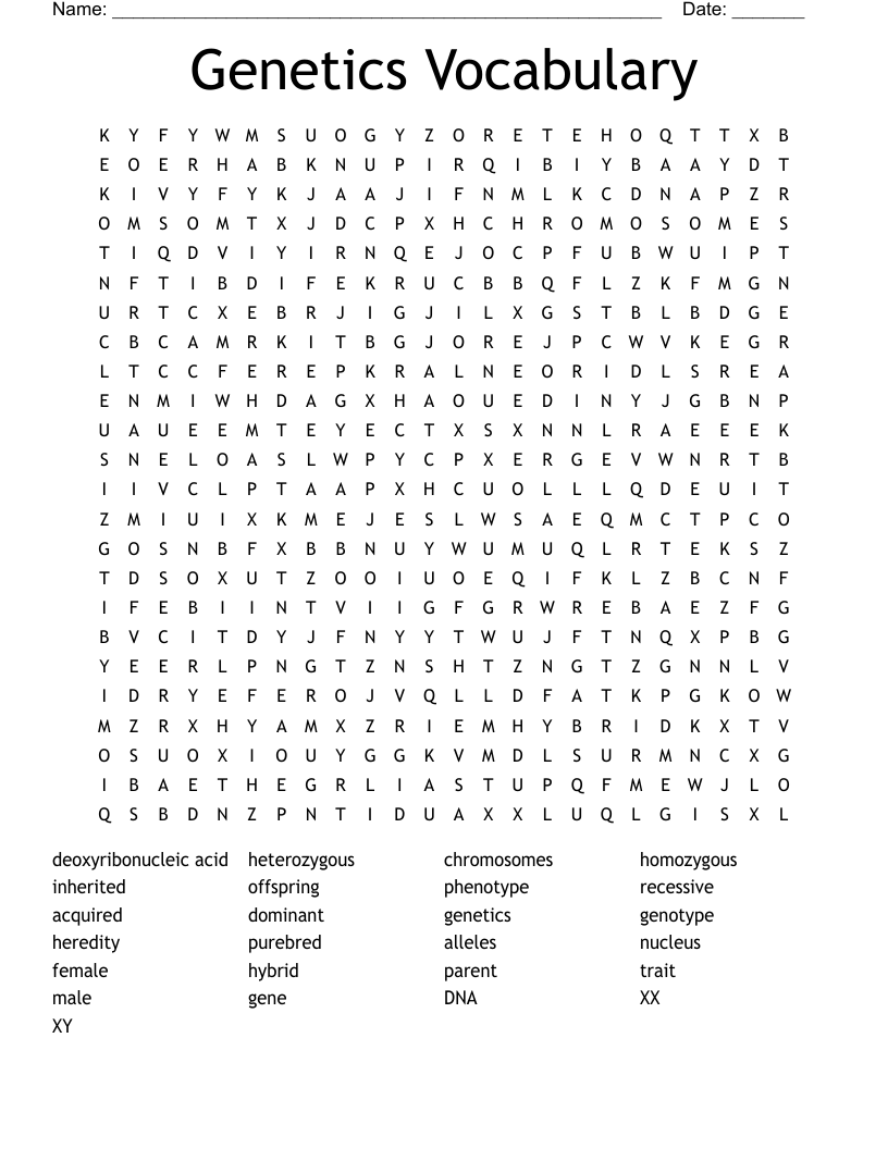 Genetics Vocabulary Word Search WordMint