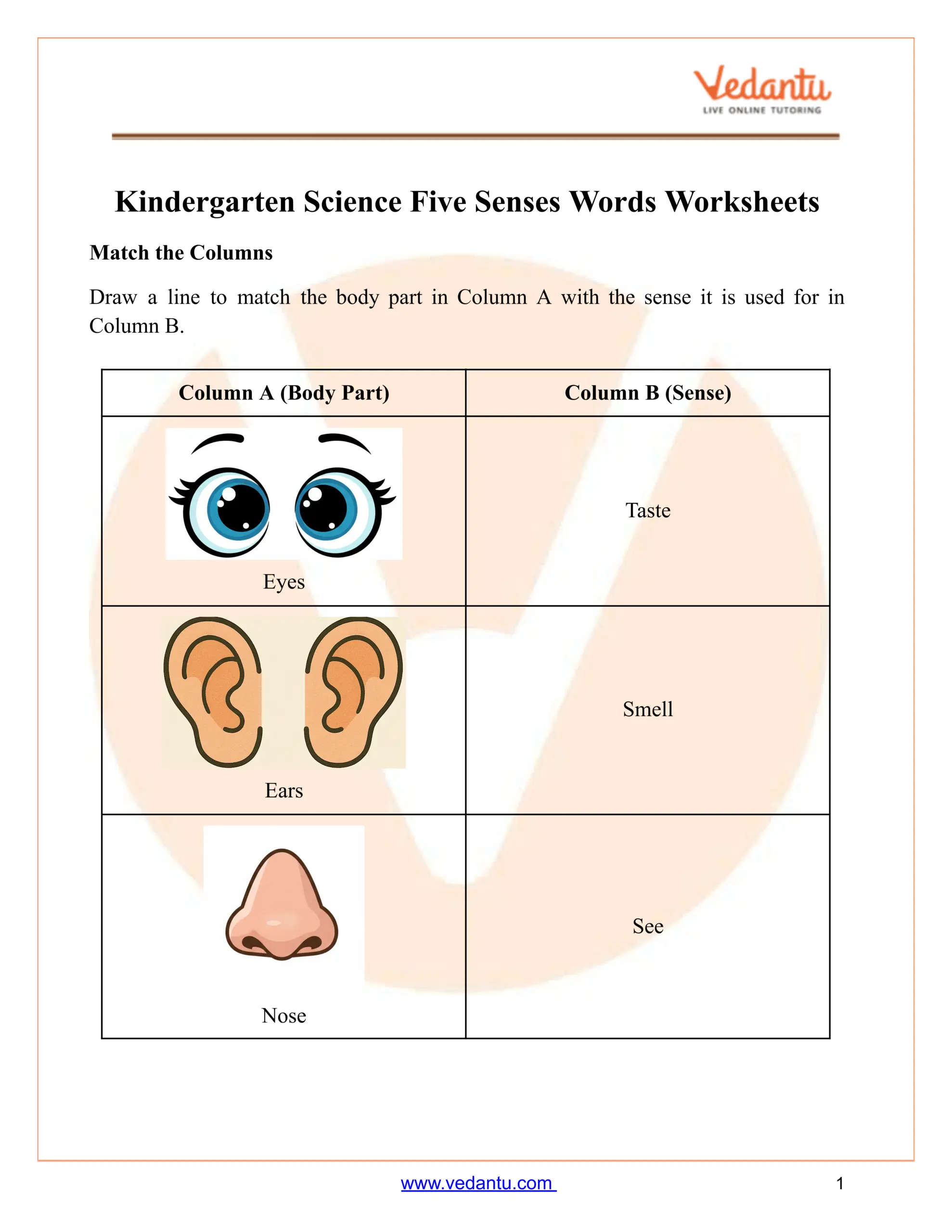 Kindergarten Five Senses Words Worksheet Free PDF Kindergarten Five Senses Words Worksheet Free PDF
