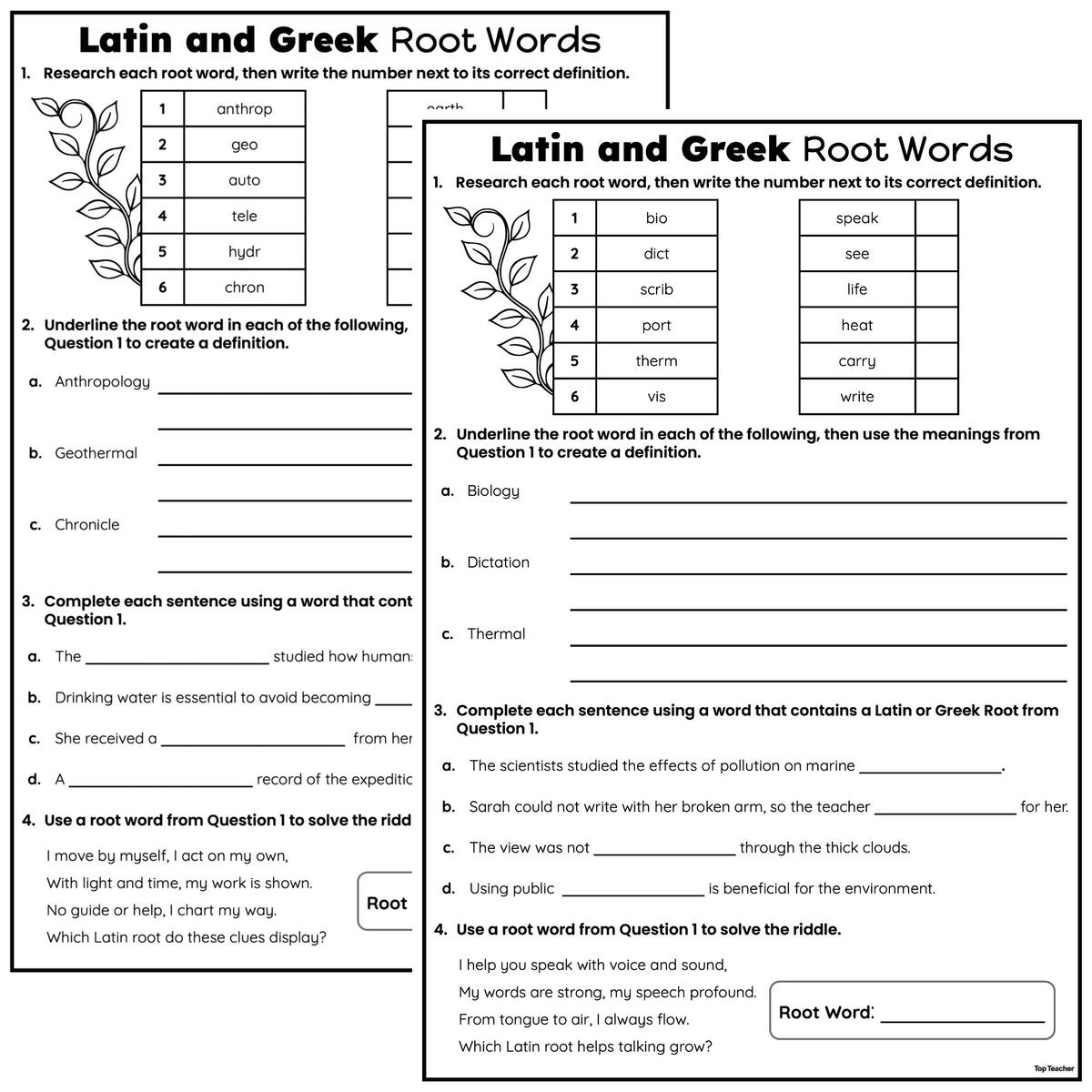 Latin And Greek Root Words Worksheet Top Teacher Latin And Greek Root Words Worksheet Top Teacher
