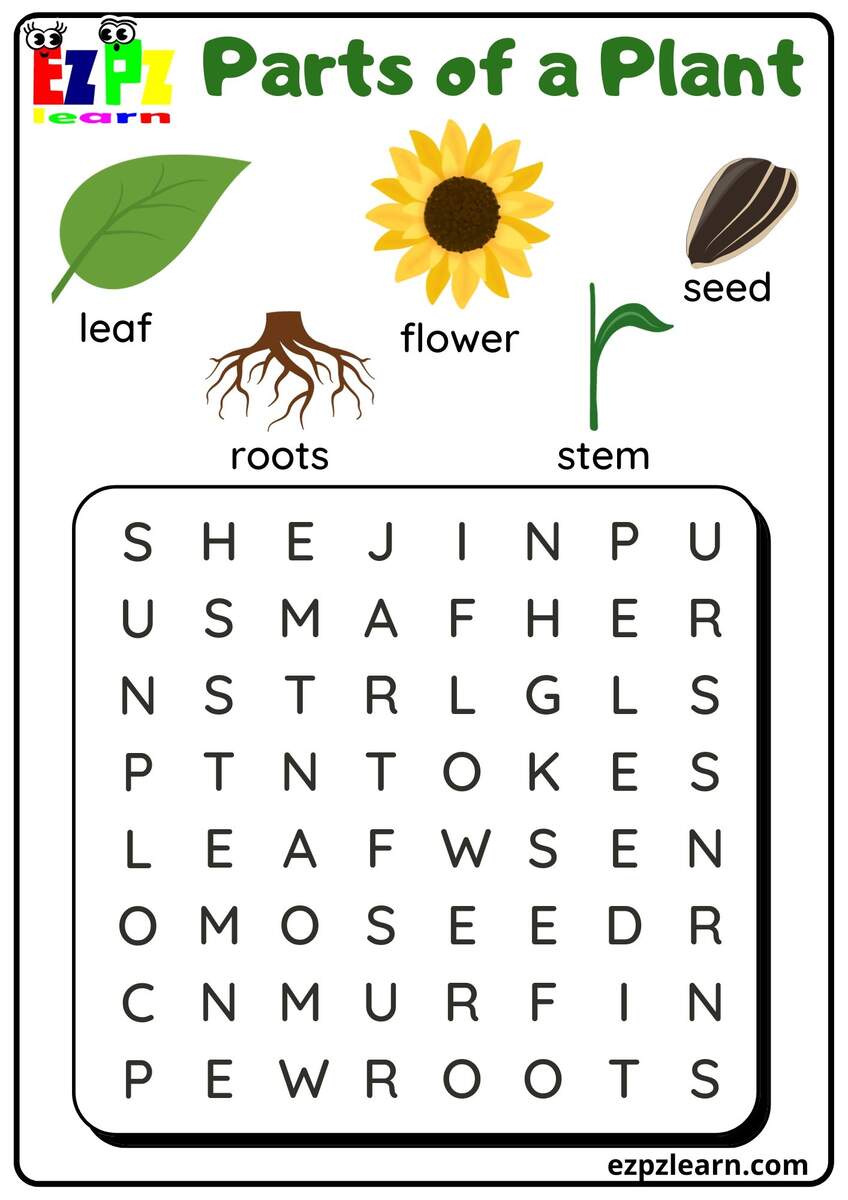 Parts Of A Plant Vocabulary Word Search Activity For Kindergarten Or ESL Students Free Printable PDF Download Ezpzlearn Parts Of A Plant Vocabulary Word Search Activity For Kindergarten Or ESL Students Free Printable PDF Download Ezpzlearn