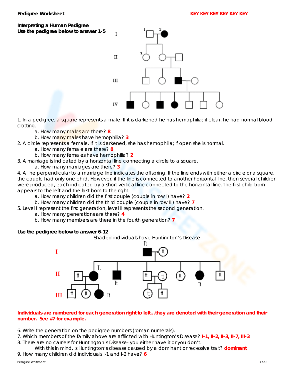 Pedigree Worksheets Printable Pedigree Worksheets Printable