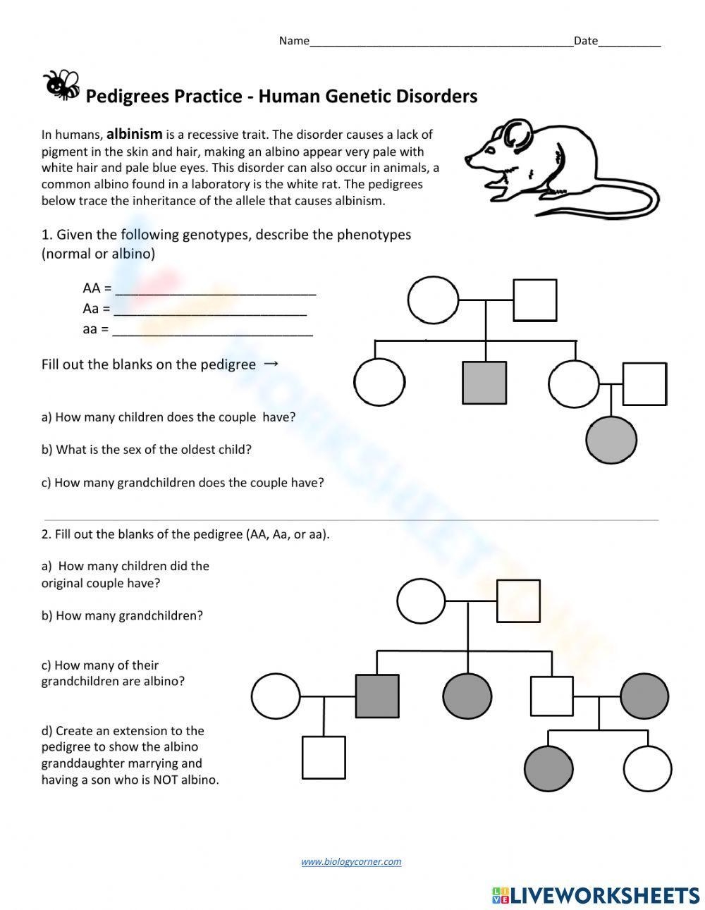 Pedigree Worksheets Printable