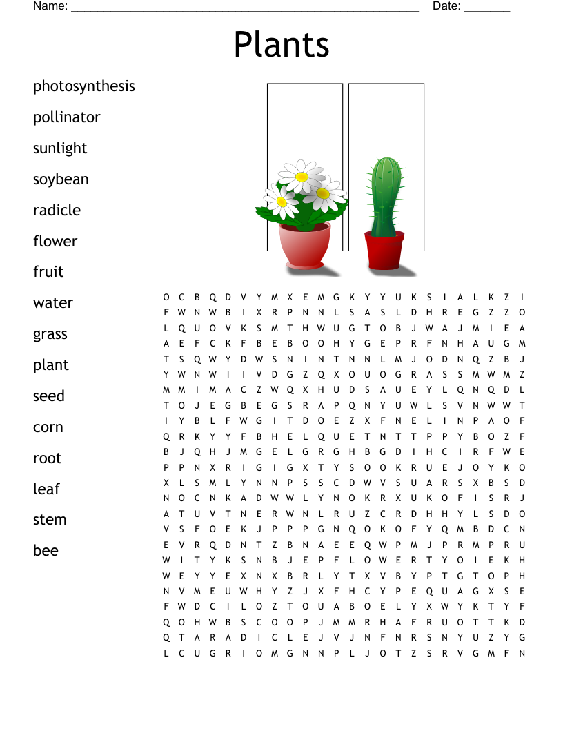 Plants Word Search WordMint Parts Of A Plant Vocabulary Word Search Activity For Kindergarten Or ESL Students Free Printable PDF Download Ezpzlearn