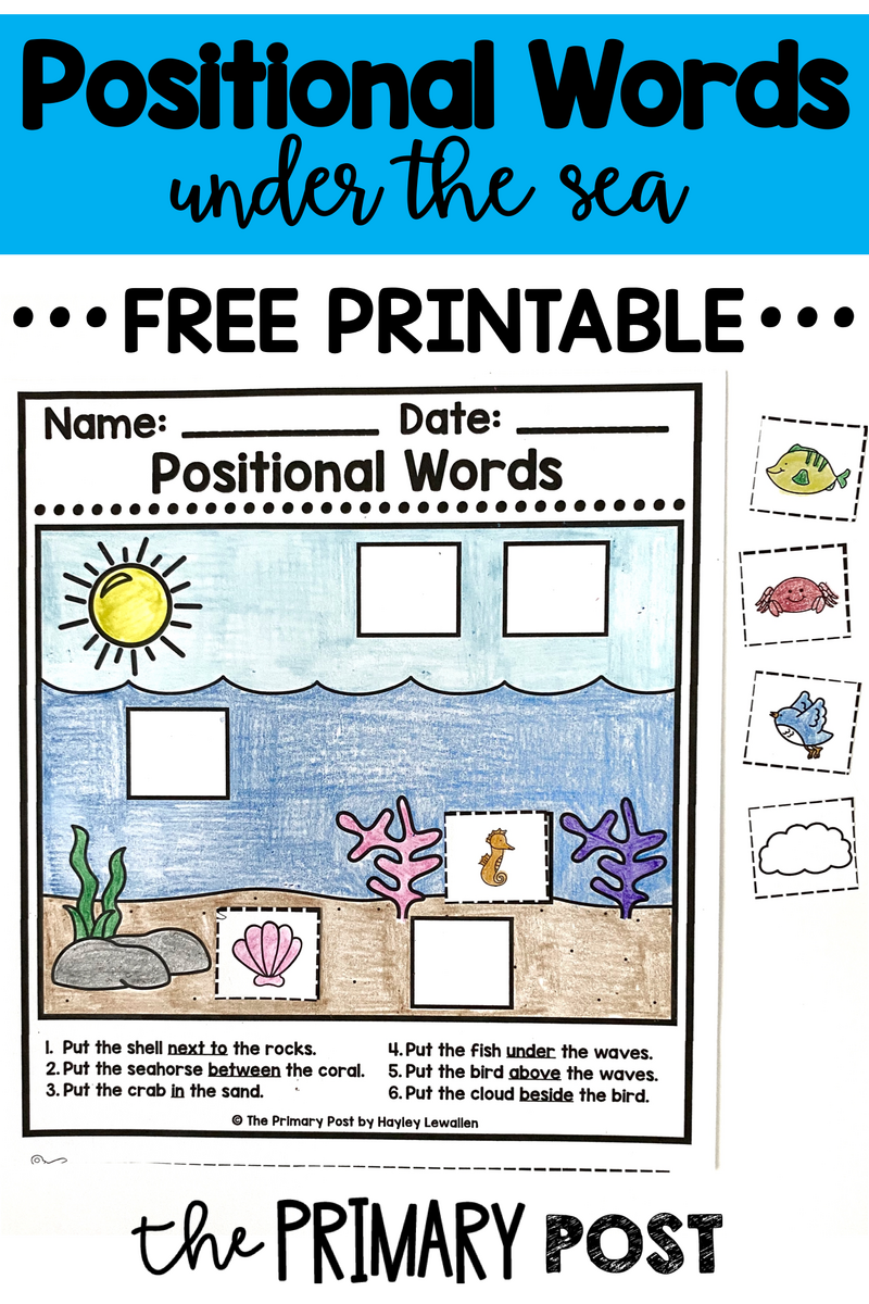 Positional Words Pratice Worksheets Helloprintable