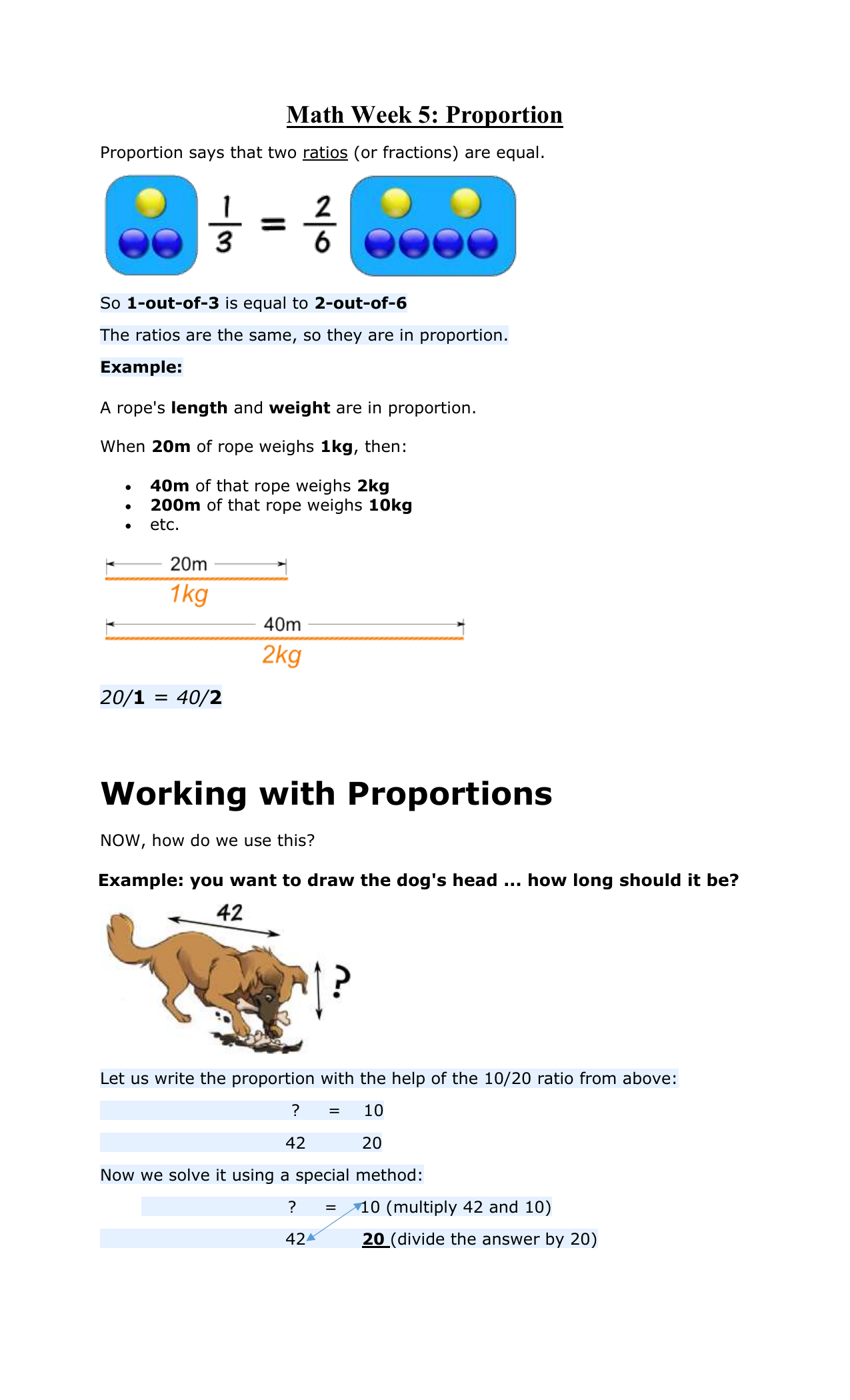Proportion Disasters Human Impact Worksheet