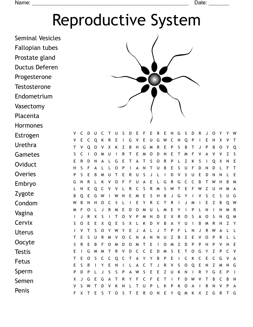Reproductive System Word Search WordMint