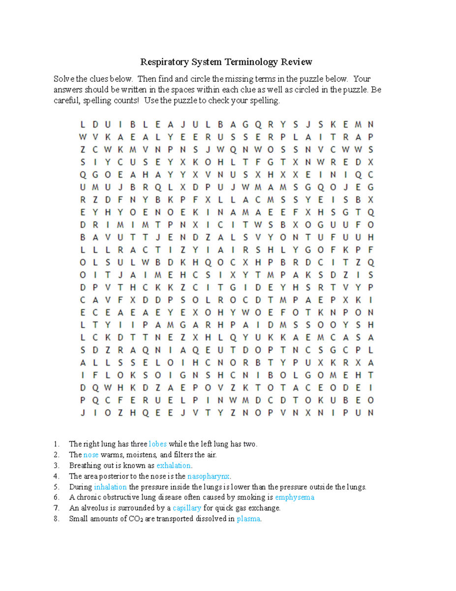 Respiratory System Puzzle Exercise Word Search 3 Studocu