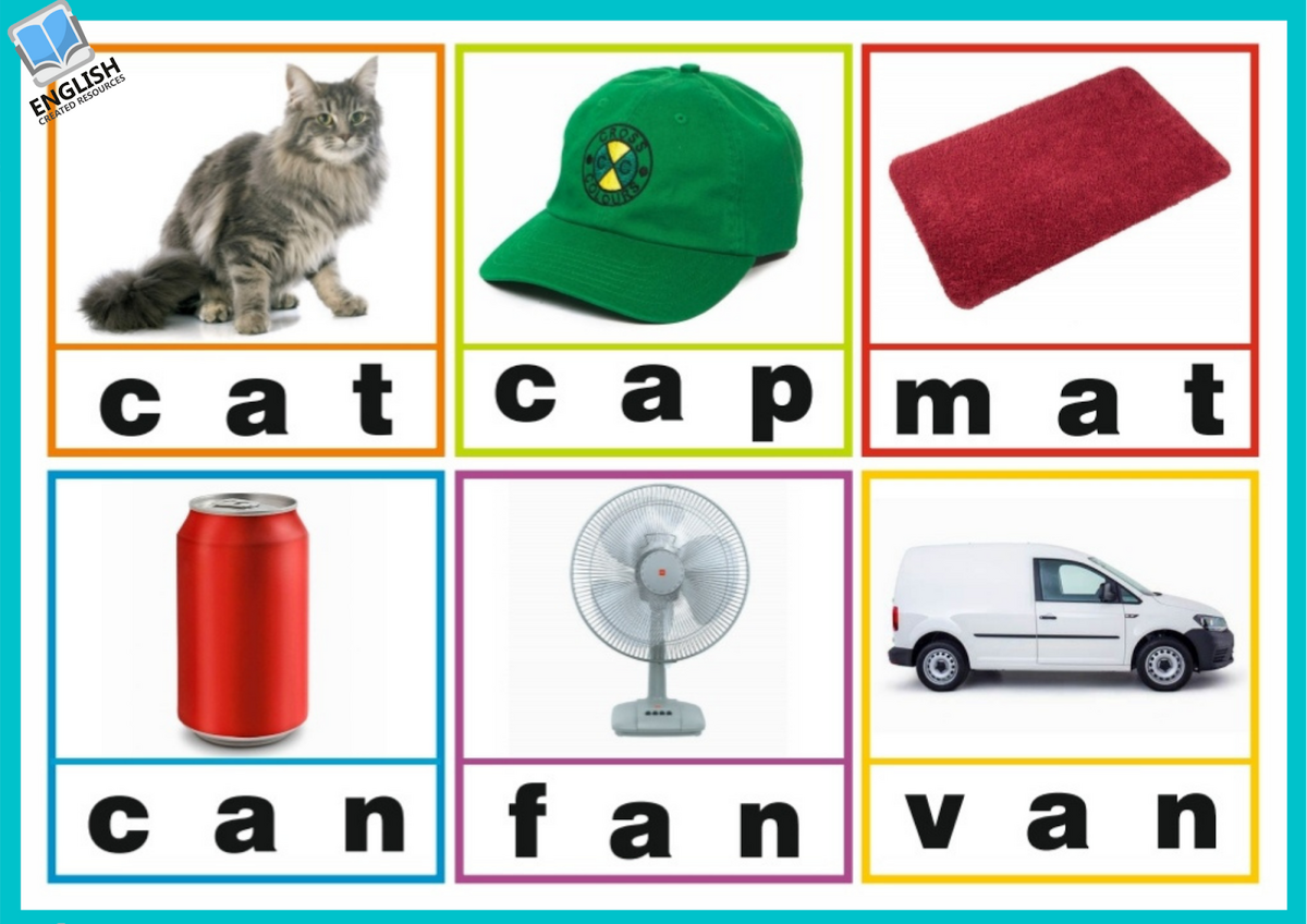 Three Letter Words English Created Resources