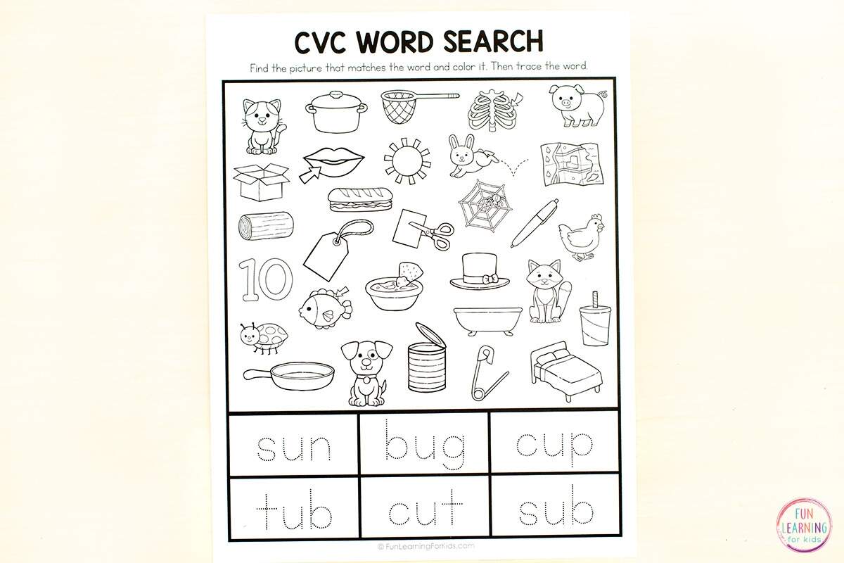 Animal Fact Note Taking Worksheets Gather Collate Animal Report Information Made By Teachers